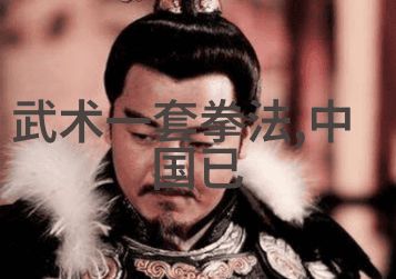 学学习华功夫掌握哪些基本和高级的内家外家打狗棒功技巧