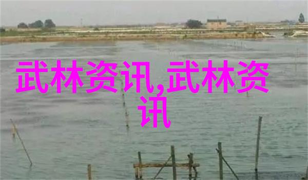 武林秘籍绝学全集与古今招式图解