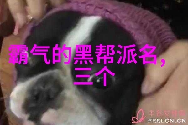太极流动48式口令与舞蹈的抽象探索