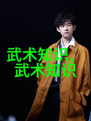 哪个门派武功最厉害赵氏玄门逍遥桩拳风神秘击败对手的绝技