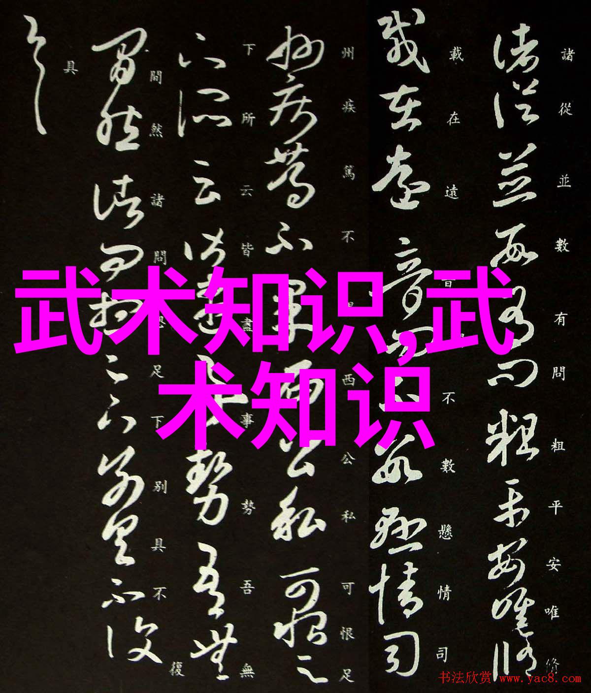 功夫大全招式拳法我来教你一套让人敬佩的街头斗殴技巧
