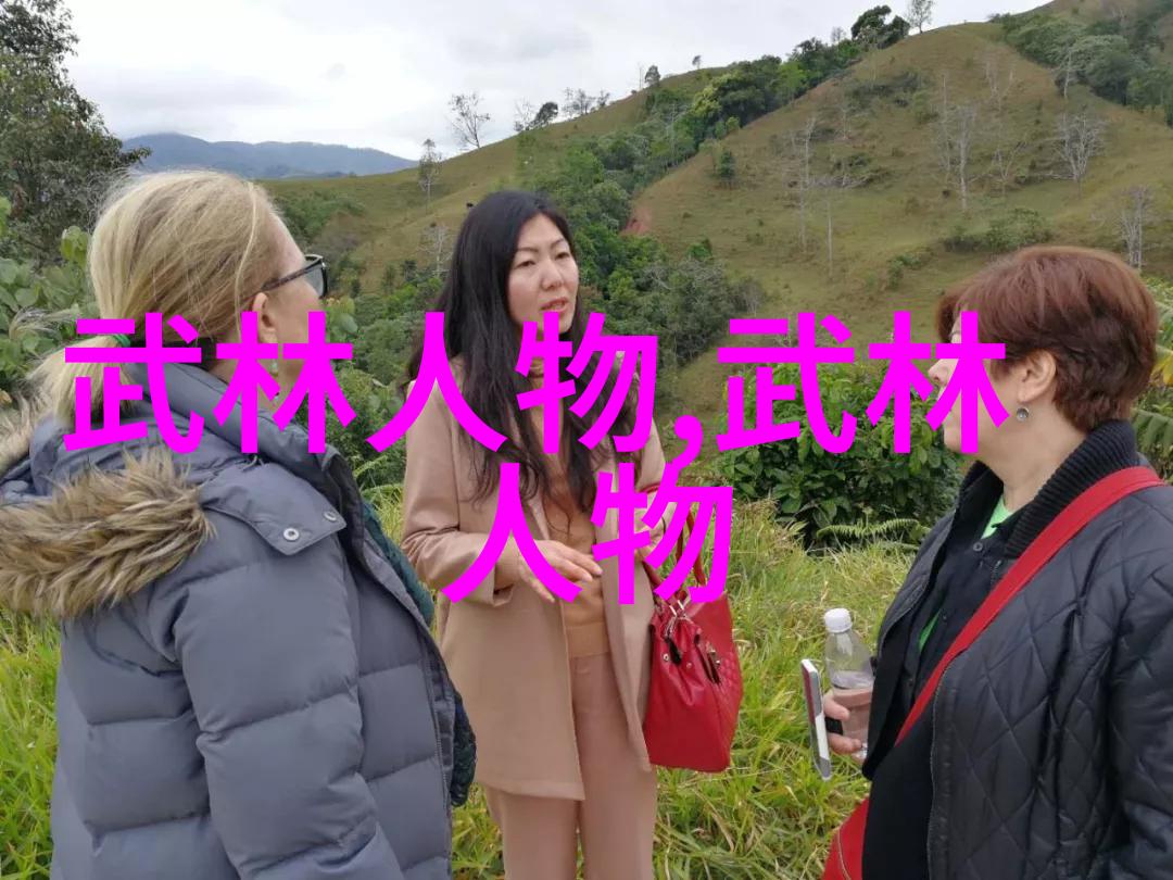云游江湖之我行我素少林武功秘籍大全