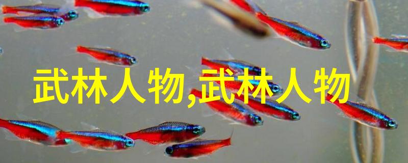 武林门派之谜掌门人隐秘的传承