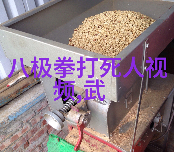 武林秘籍沉默的掌击
