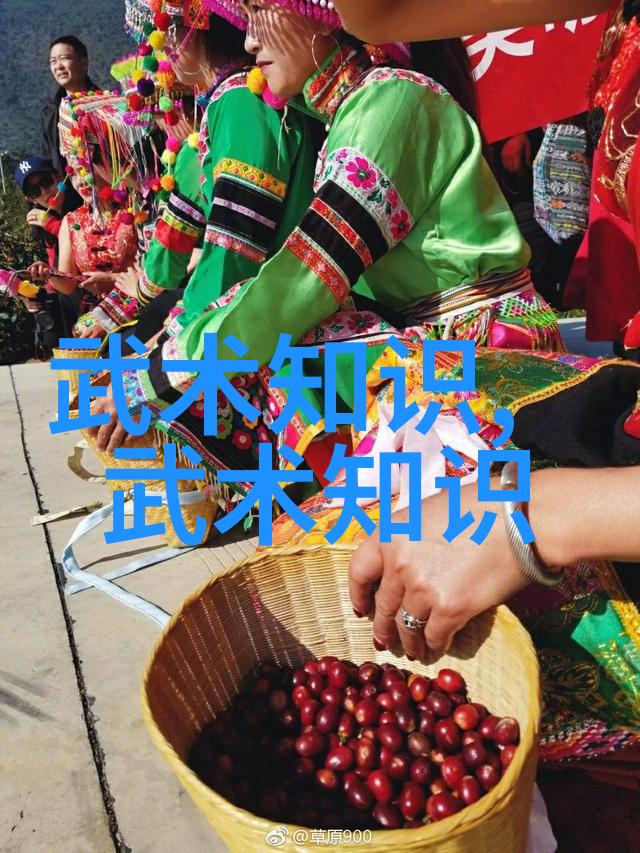 李雅轩太极拳论汇编四十式太极拳视频带口令