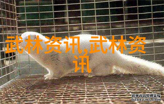 古龙四大绝世神功四川杨门拳种之巅