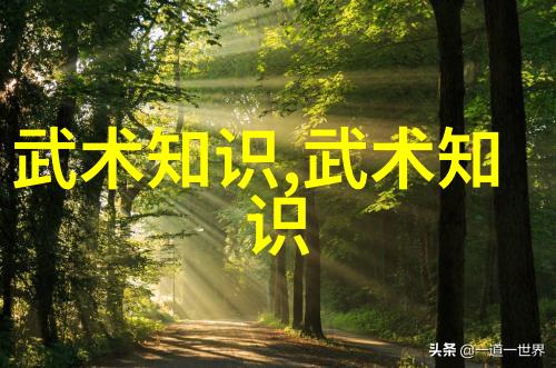 入门拳法掌握基础步伐与手式