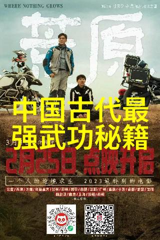 丁宁恋情秘密双打男方配不上她吗乒乓球场上的默契与爱情故事