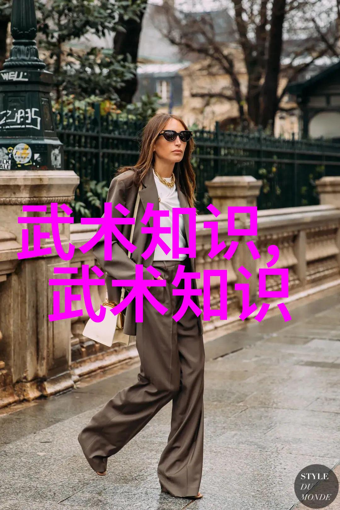 武林中的门派有哪些程派高式八卦掌