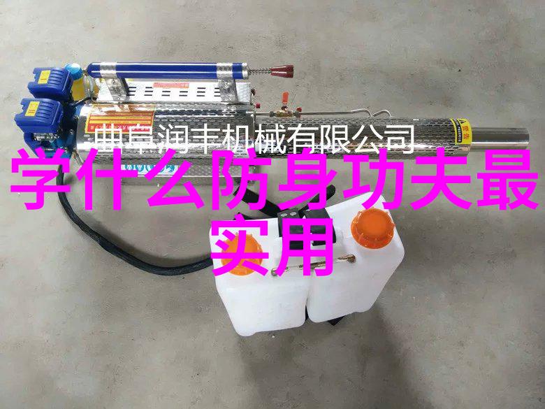震脚秘籍揭秘陈氏太极拳禁练气功的正确姿势