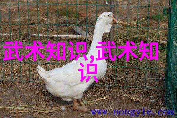 神秘黑暗联盟探险与策略的团结力量