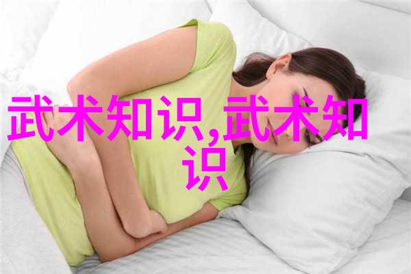 数据驱动解读李小龙功夫教学视频中的关键技巧与效率分析