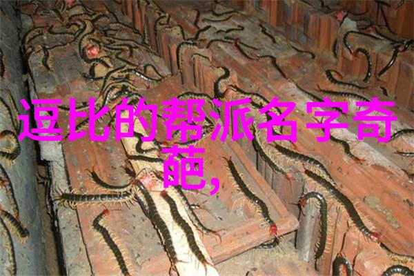 轻功飞翔之路翱翔天际的秘诀
