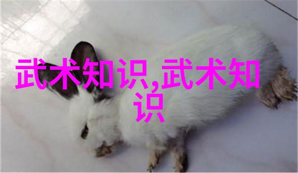 你是否已经准备好观看2021年9月的精彩拳击比赛视频下载