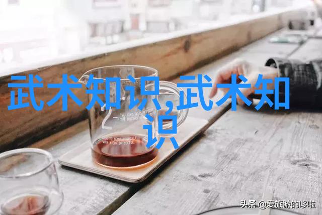 试图重现历史上的绝世技艺重构蛤蟆功破天版