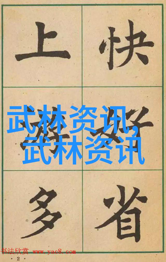 中国功夫中的拳法动感的诗篇与力量的旋律