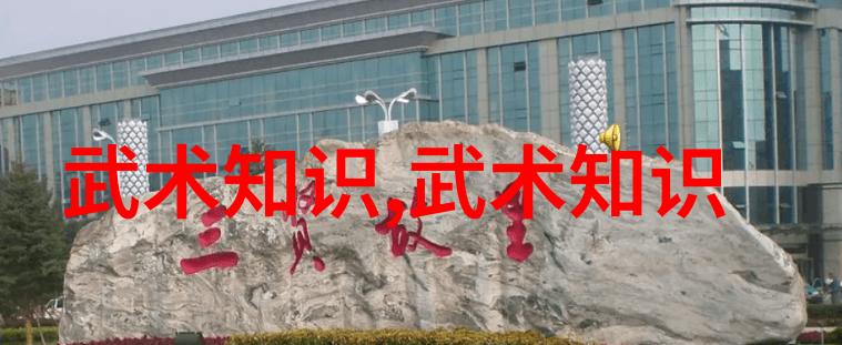 中国传统武术拳法-古韵沉淀探索中华民族精神的艺术形态