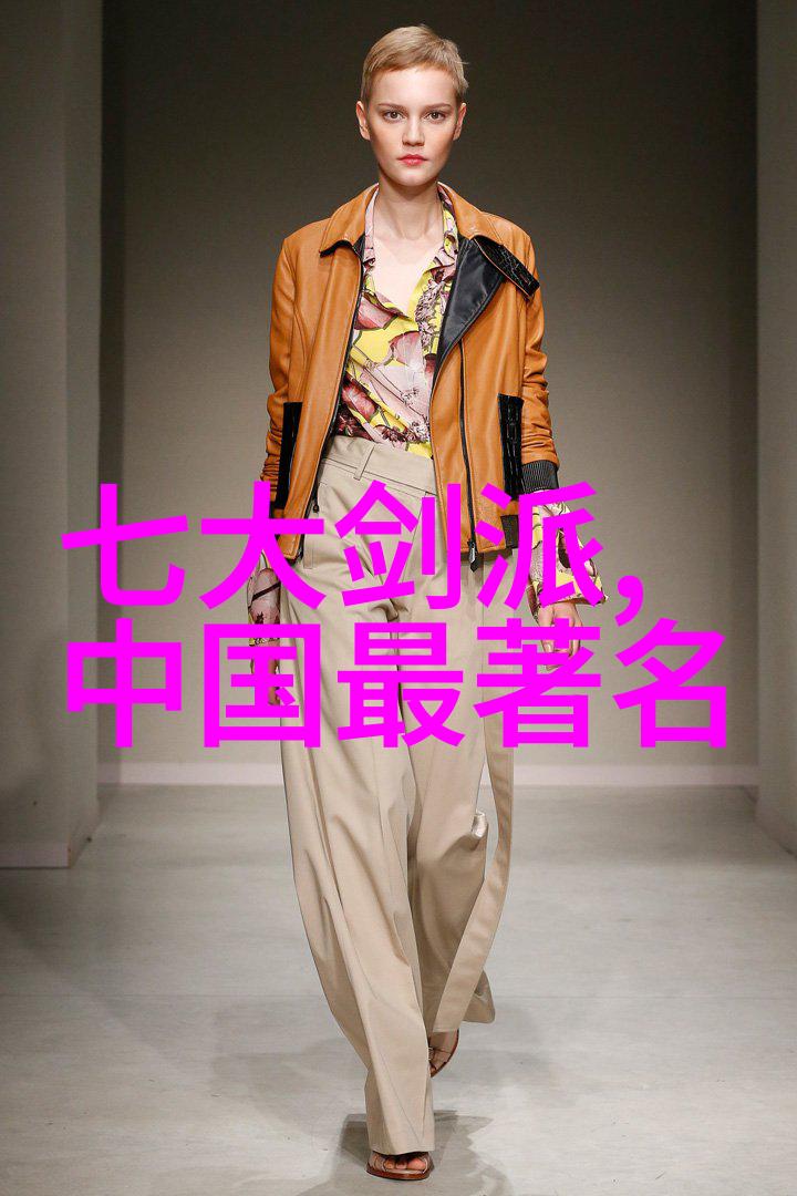 武学秘笈揭秘太极拳24式每一式的奥义与技巧