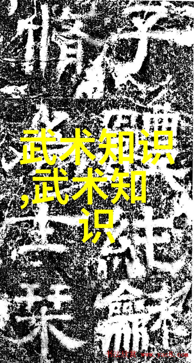 轻功之谜心灵的舞蹈与意志的飞跃