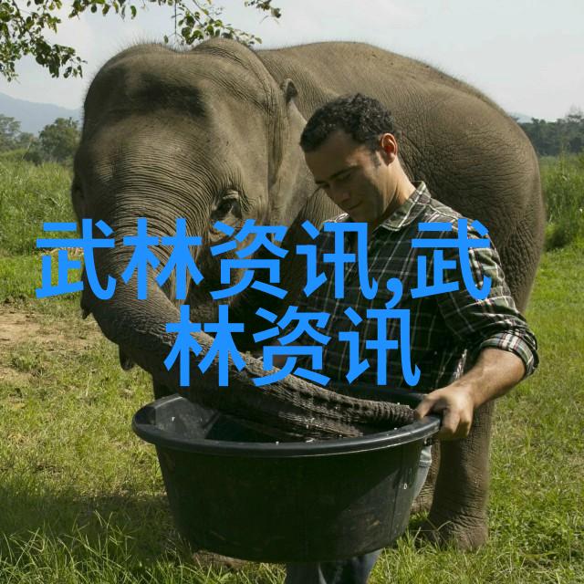 干涸地上的BY火风L寻觅与激情的交响