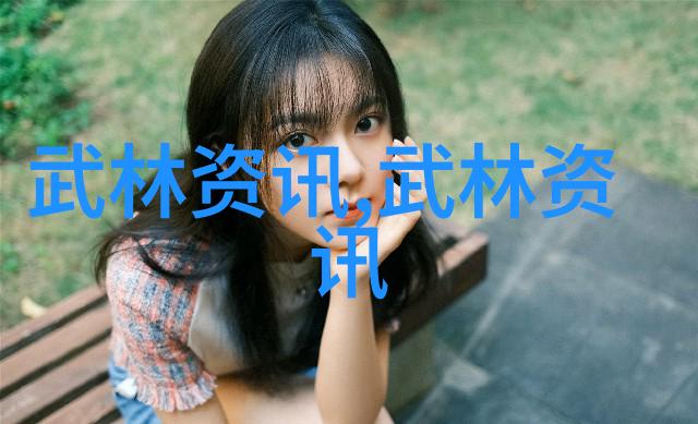 剖析武功与武术技术与内功的辨识界限