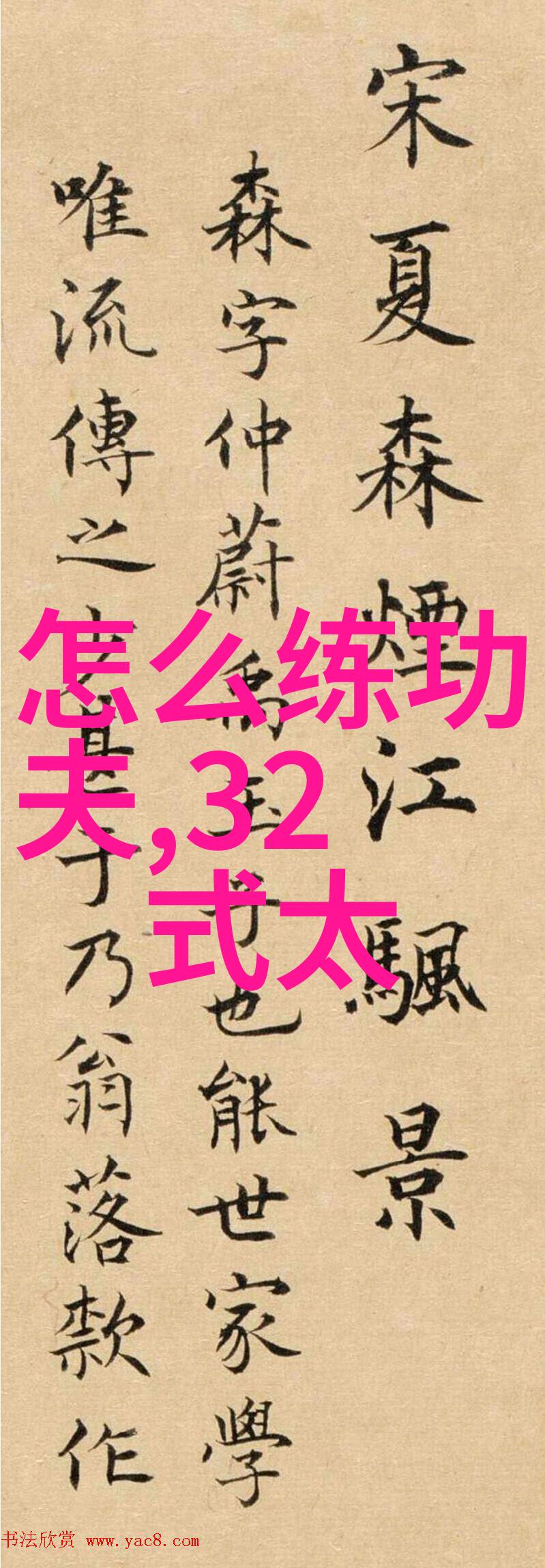 奶子排球风暴荷兰女排横扫俄罗斯视频