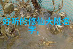 太极拳口诀之美妙韵律与精华体现