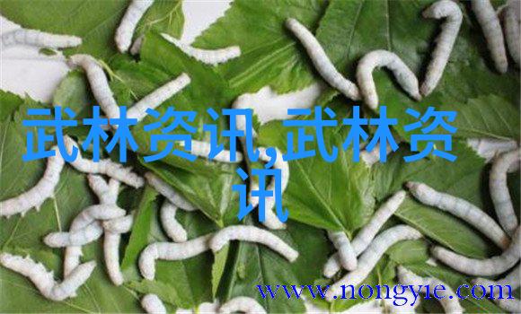 太极拳24式自学图解揭秘古老武术的精髓与实践方法