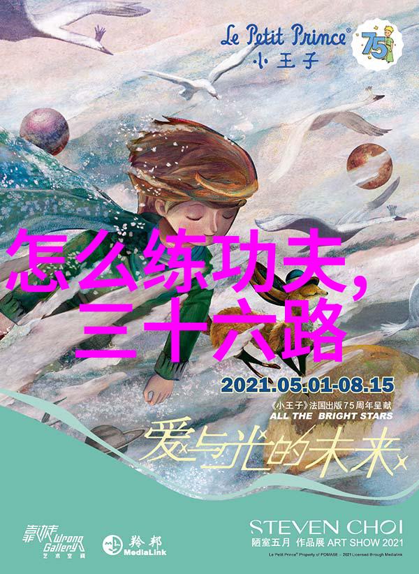 独家解析揭秘高级武术动作教程在武功自学中的作用