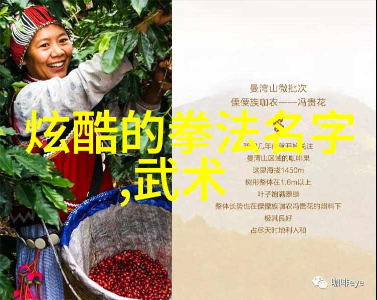 武当全真龙门派传人武当山的古老内功心法和秘密弟子