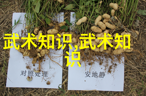 联盟名称古风诗意-碧波荡漾星辰联盟的传说