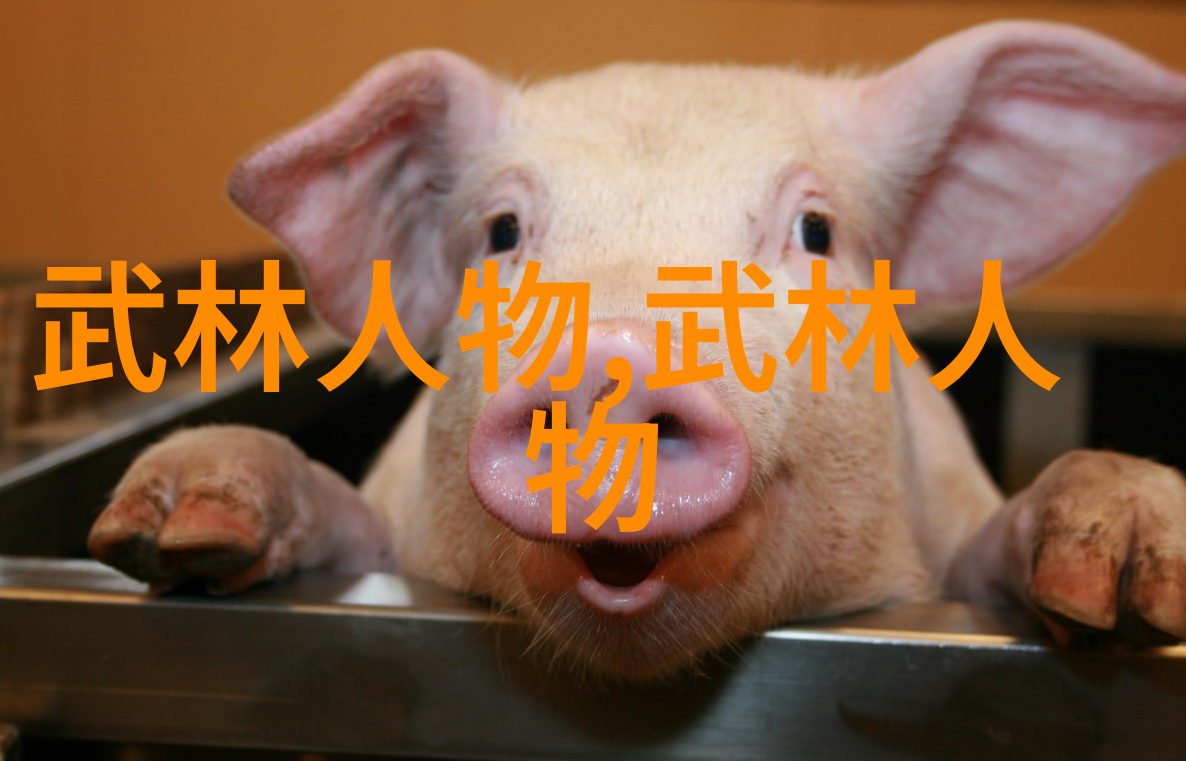 在外国电影和电视剧中我们经常看到少林寺这个名字但它与其他什么样的武术有联系呢