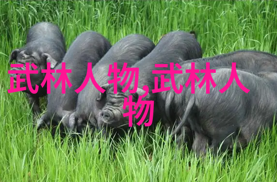 屠龙记中的二十一个门派咱们来一场探秘之旅