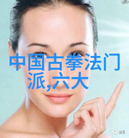 中国武术有多少种拳法-探秘中华武林的千手百掌揭秘中国拳法的丰富多彩