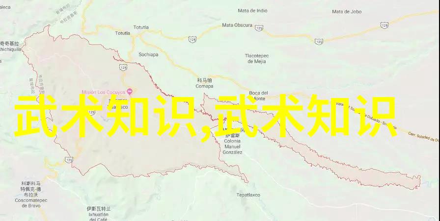 杨敏的五个秘密