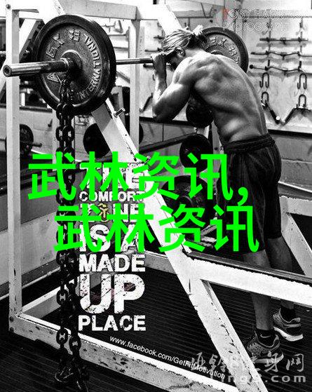 武学大系的兴衰如何成为下一个掌门