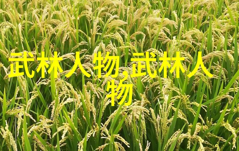 bt6080技术规范广播电视数字多媒体系统中的新一代编码标准