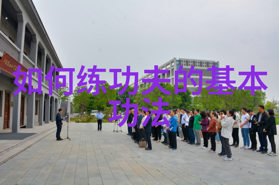 中医理念与运动实践太极拳中的阴阳平衡原则