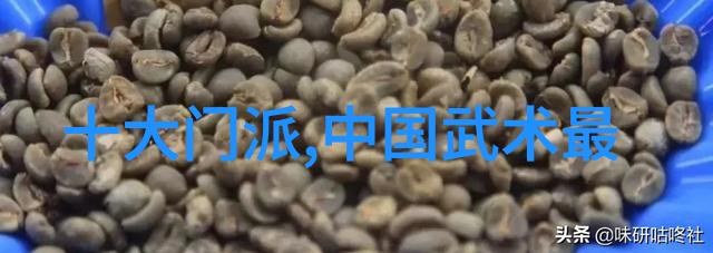 太极功夫秘籍解读探索内丹修炼与柔韧力训练的哲学根源