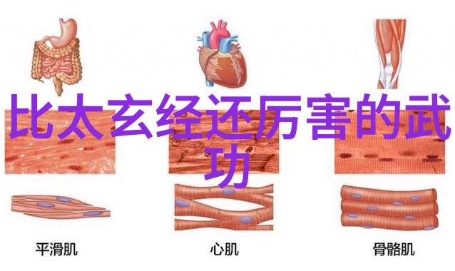 中国武术巅峰海底霸王腿