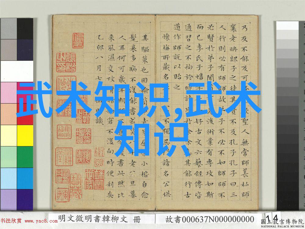 武林秘籍古今武术活动之谜