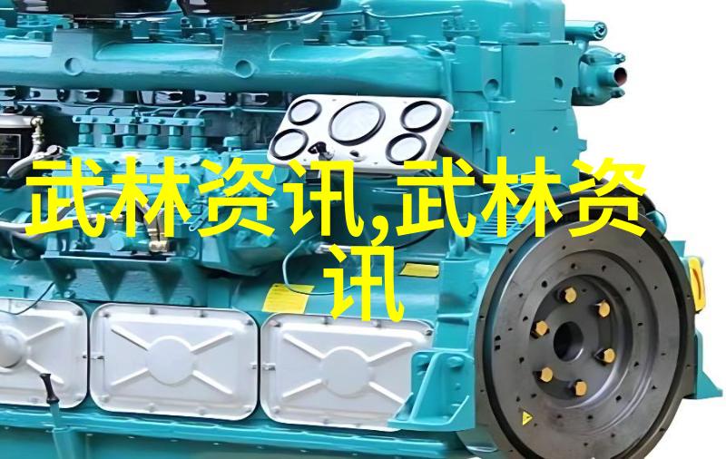 拳法十六招式图解揭秘我爸的神奇打架技巧一招一式详解