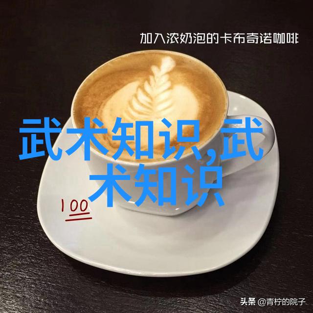 武当松溪神意派现存的内家拳之巅峰