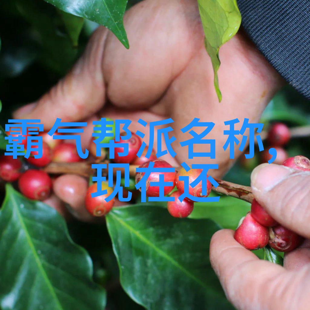 激情燃烧勇士冲锋美国橄榄球的巅峰对决