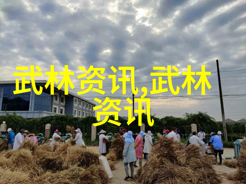 在学习轻功时我们应该如何正确地理解和使用呼吸控制技巧