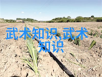武林十大门派齐聚一堂谁的功夫能让对面笑掉大牙