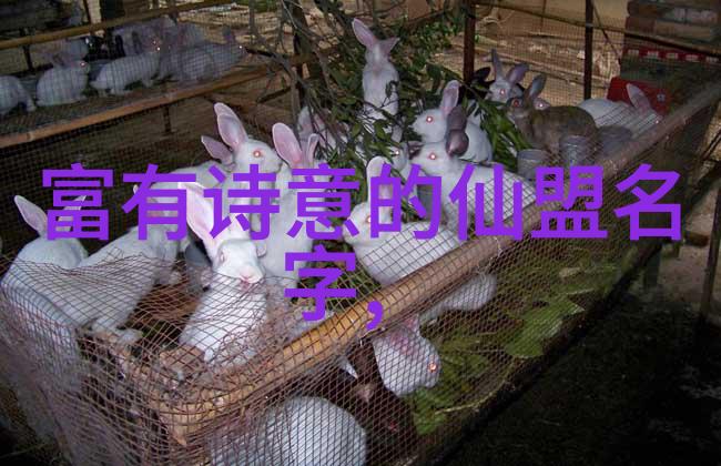 天籁契约梦幻仙盟的诞生
