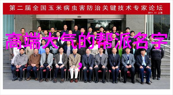 武功秘籍网解锁古代武林的神秘之道