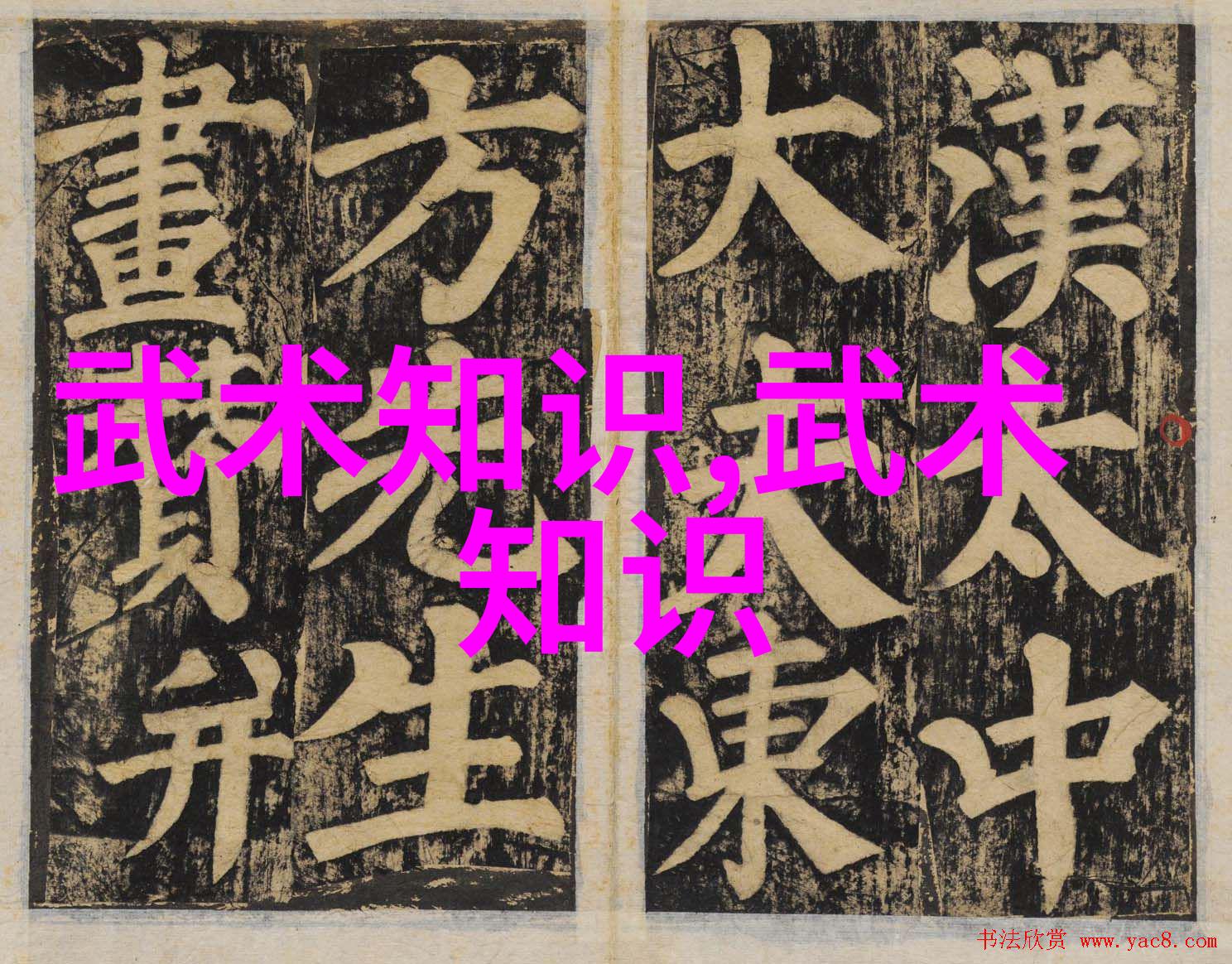 中国武术巅峰之作自然门开派宗师徐侠客乃是揭开武林奥秘的天才