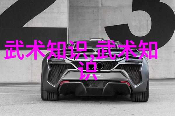 太极拳24式之旅揭秘每一式的奥义与美学